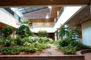 Dekorasi Taman Kanopi